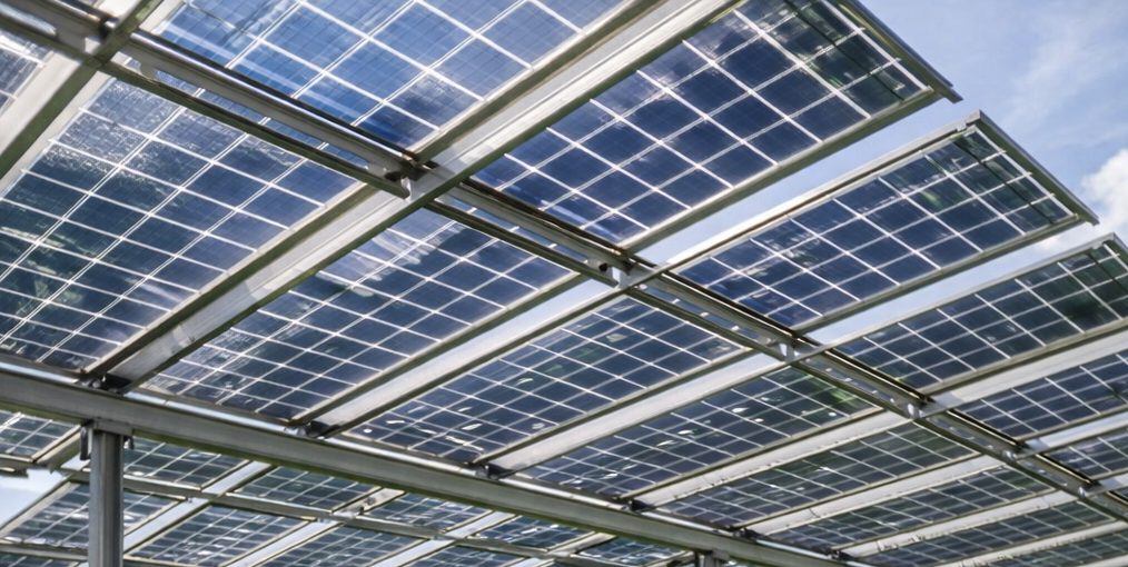 Agrovoltaica: Sinergia entre Energía Solar y Agricultura Sostenible